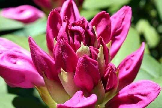 Validating the Feminine
