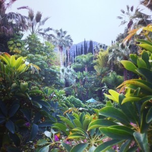 The verdant foliage at the spa.