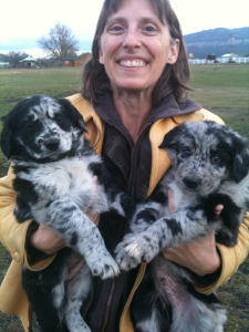 Cap'n on the left; Pendleton on the right. Very happy me in the middle