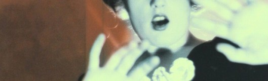 91LJ1EwxDTL._SL1500_1-820x250