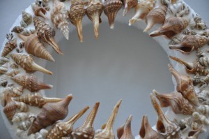 Junonia Shell wreath