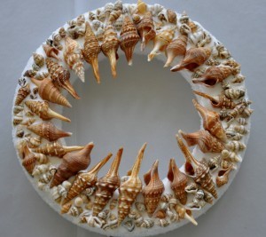 seashell sun