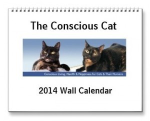 Conscious_Cat_Calendar