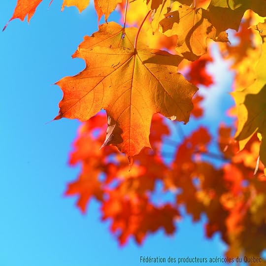 mapleleaves