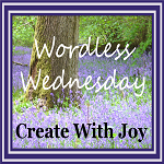 Wordless Wednesday