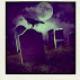 107325365 80 80 #BlogFlash2012: 30 Days, 30 Prompts, 30 Posts: #17 Graveyard