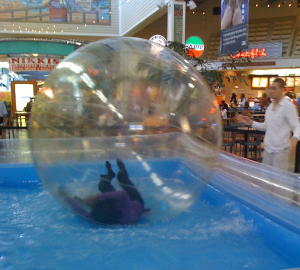 Wambui in a giant plastic ball in the water