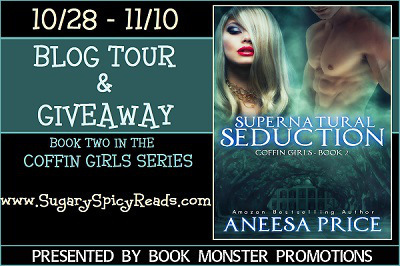 Supernatural Seduction Tour Sidebar Banner