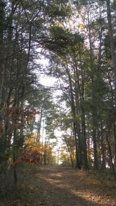 SAMSUNG DIGITAL CAMERA