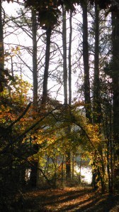 SAMSUNG DIGITAL CAMERA