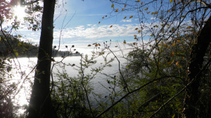 SAMSUNG DIGITAL CAMERA