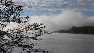 SAMSUNG DIGITAL CAMERA