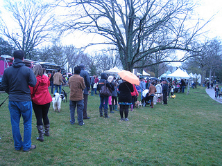 dog contest at Cheekwood