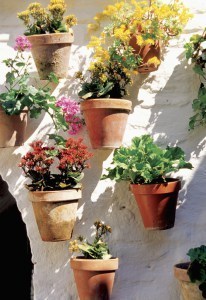 Colorful flowers in clay flowerpots hanging on wall of building in Cordoba, Spain