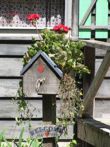 In a Southampton garden