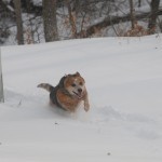 Lucyrunsinsnow