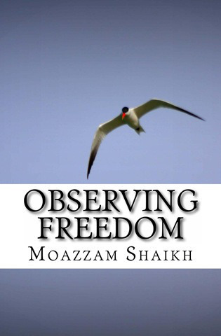 Observing_Freedom_Cover_for_Kindle