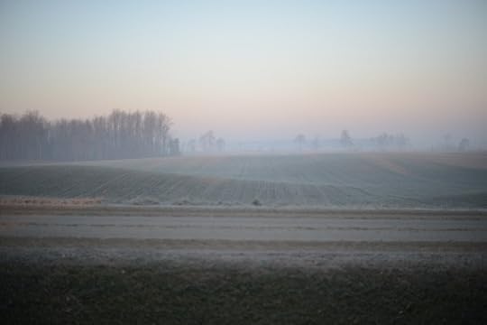 DSC_7047