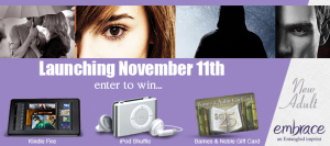 Embrace launch banner