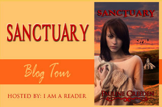 sanctuary tour banner