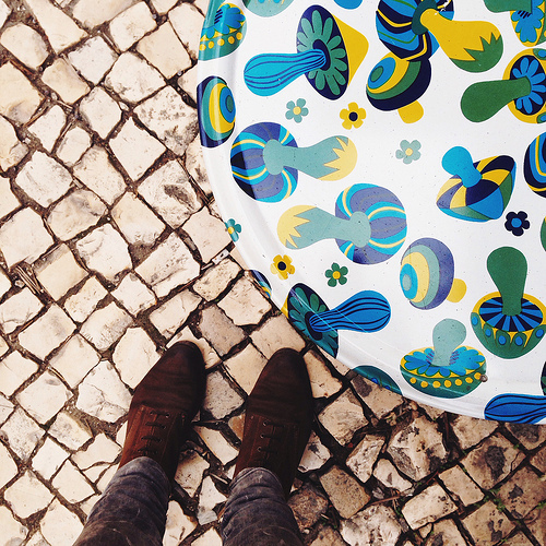 urban mushrooms
