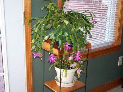 Post image for Old Sayings