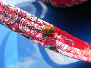 SAMSUNG DIGITAL CAMERA