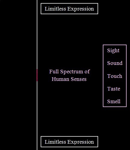 Human Senses infographic