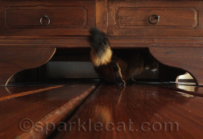 This was an action shot!