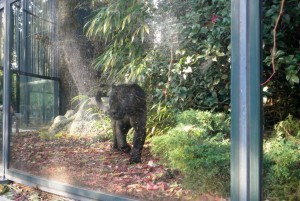 zoo