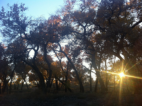 photo.JPG