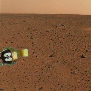 Life on Mars