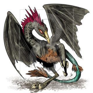  photo image_zpsbc708a45.jpg