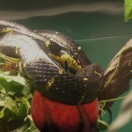 one bite and you will be like God