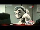 video image