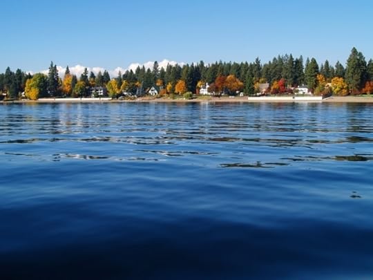 Picture of the Town's relation to the lake and forest.