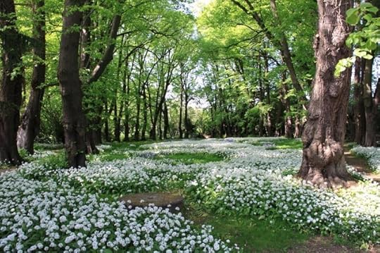The MEADOW