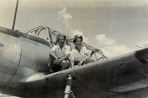 Hazel&WASP