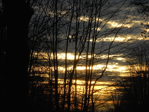 bright-dark skies