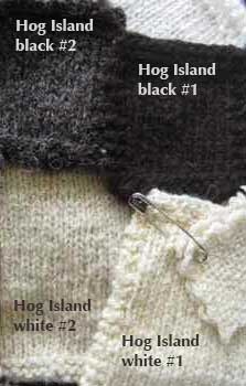 51-HogIsland_5802-crop