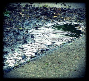 image courtesy of photobucket.com