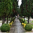 Cmentarz San Michele