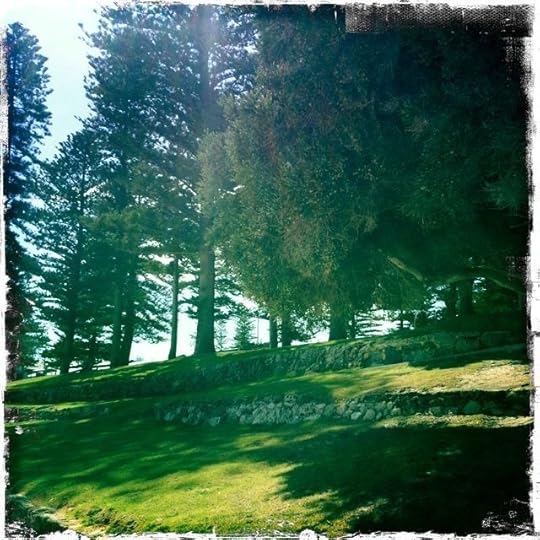 Cottesloe beach terraces