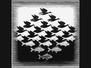 birds_fish