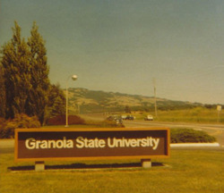 granola_state