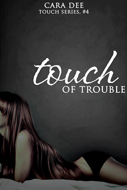 touch-4-cover-mini