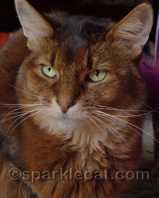 This is my dubious look - dubious that anyone will listen