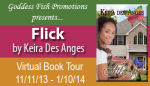 VBT_Flick_Banner