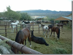 Tanque Verde Dude Ranch