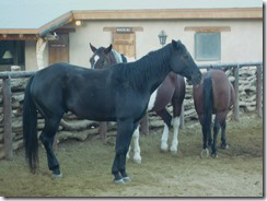 Tanque Verde Dude Ranch